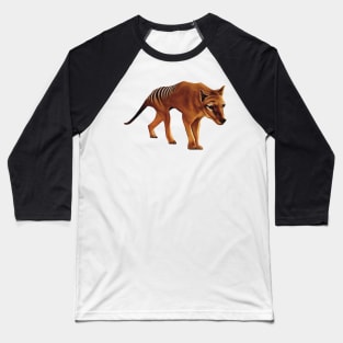 Tasmanian Tiger illustration, Tassie tiger artwork. Extinct Tasmanian Tiger. Thylacine illustration. Baseball T-Shirt